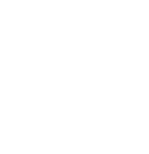 Indo Astrology Center - 3